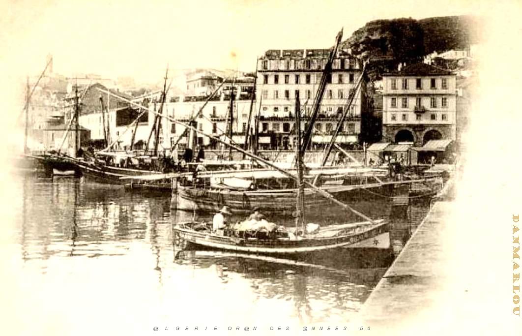 PO b- 005.jpg